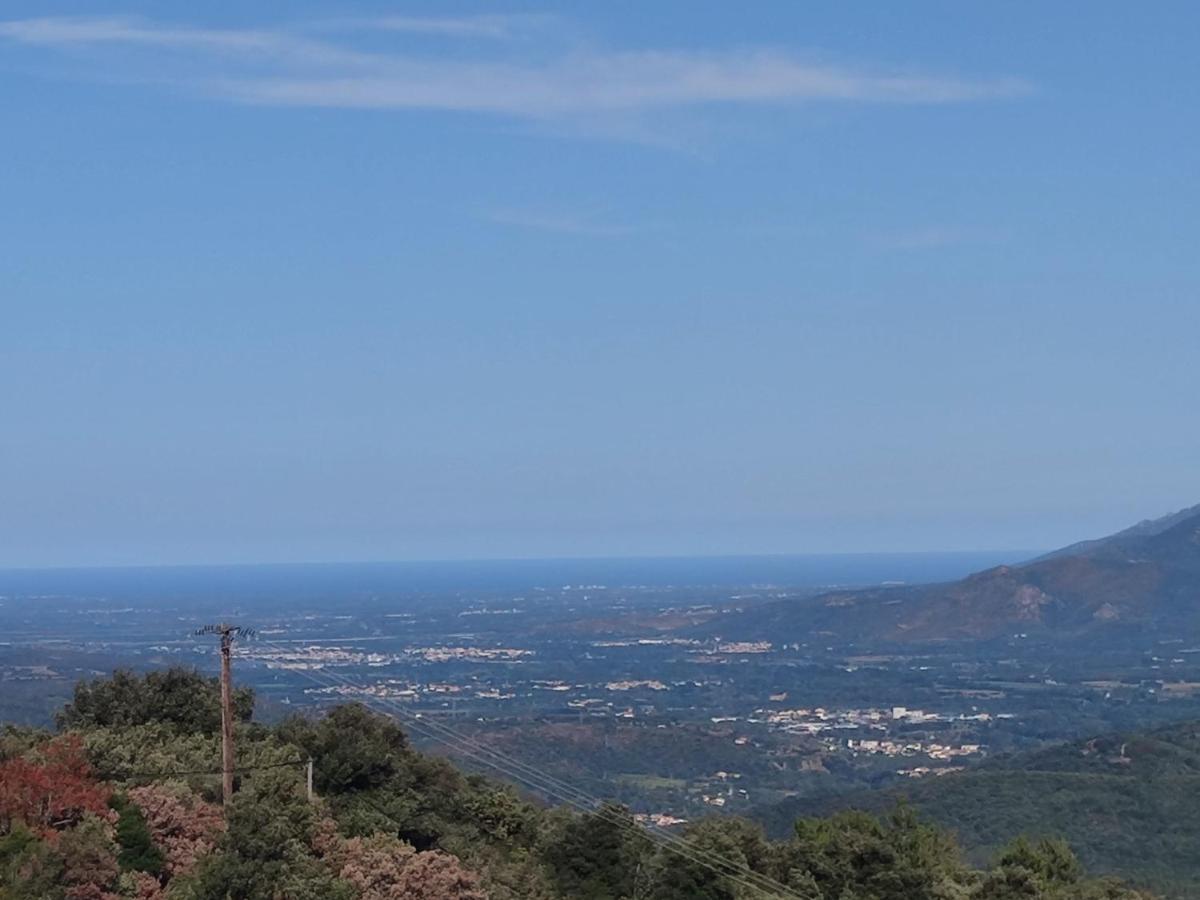 Le Havre De Paix Villa Ceret Ngoại thất bức ảnh
